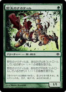 Wild Nacatl / 野生のナカティル