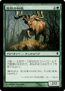 Grazing Gladehart / 放牧の林鹿