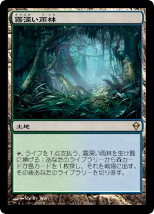 Misty Rainforest / 霧深い雨林