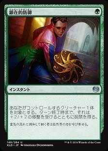 Blossoming Defense / 顕在的防御