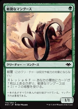 Nimble Mongoose / 敏捷なマングース