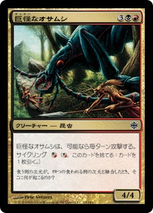 Monstrous Carabid / 巨怪なオサムシ