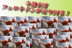 Thumb 34031e68 a0d1 4d73 9289 f2ad5312475b